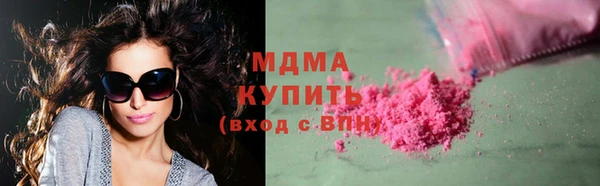 стаф Алзамай