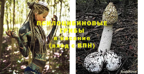ГАЛЛЮЦИНОГЕННЫЕ ГРИБЫ Приозерск