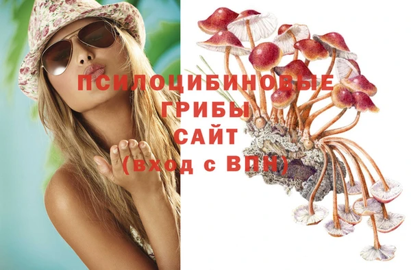 гашишное масло Аркадак