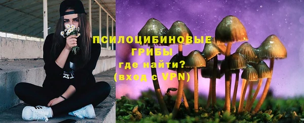 дживик Армянск