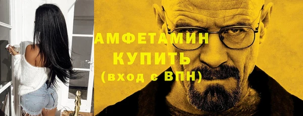 стаф Алзамай