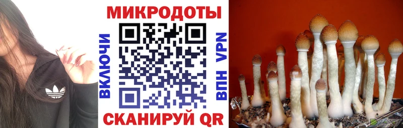 Галлюциногенные грибы MAGIC MUSHROOMS  Куйбышев 
