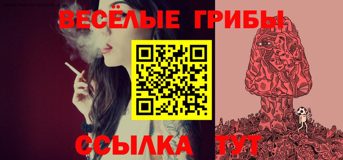 Псилоцибиновые грибы мухоморы Куйбышев